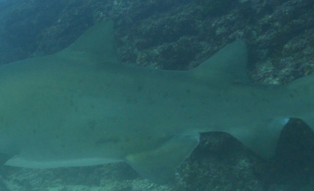 402eba90-2a40-4f7b-b2a4-e53c1b3d538c