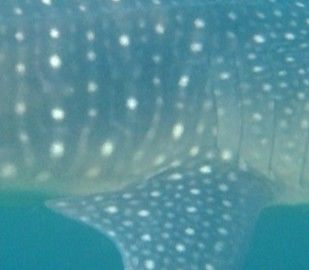 7128b96f-cc92-4f59-a6b4-47ed36b0f43f