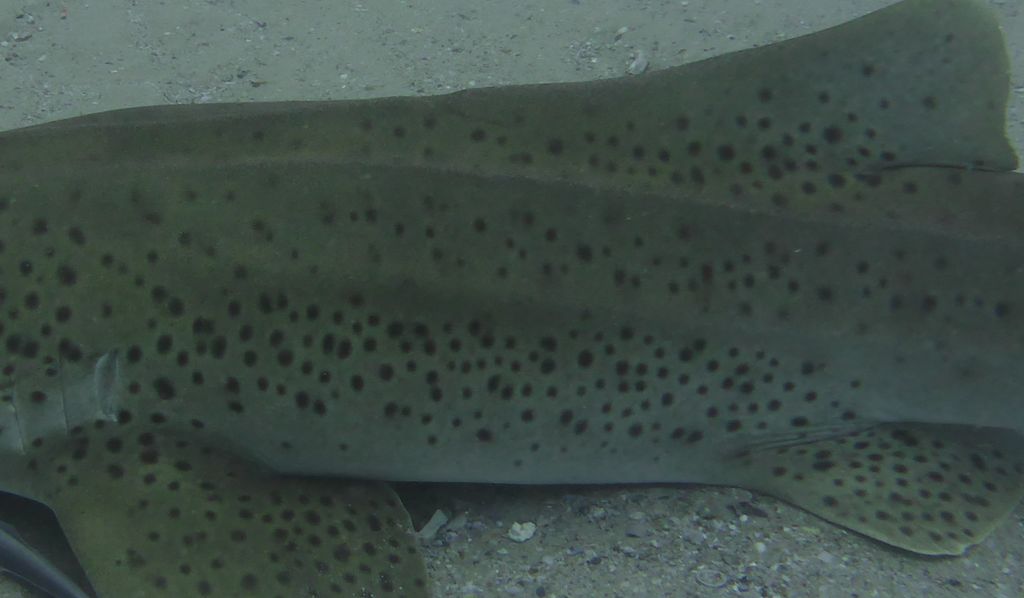 dcecbaeb-abf4-4ced-8ecf-e4fc618bc318