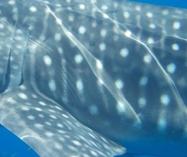 0b981b00-cd7b-4ab4-b996-d633e505499e