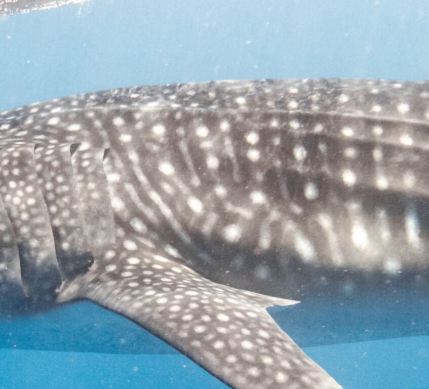 9516f62c-dab2-4f38-906d-5c22fee8de31