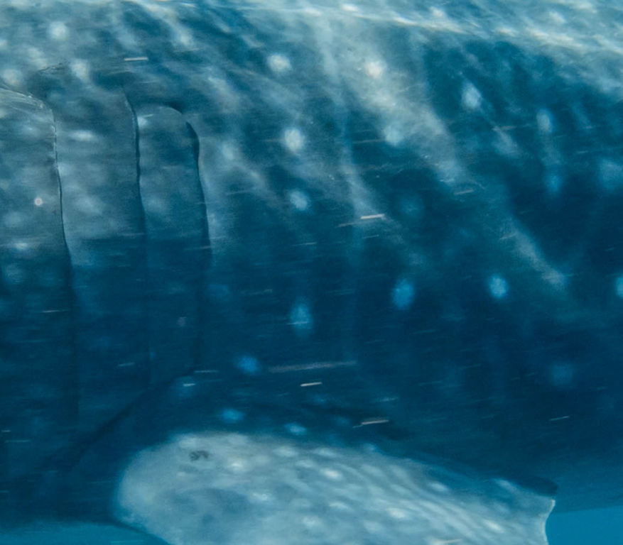 5580f5cd-6ee5-412e-899c-14a55ce3309f