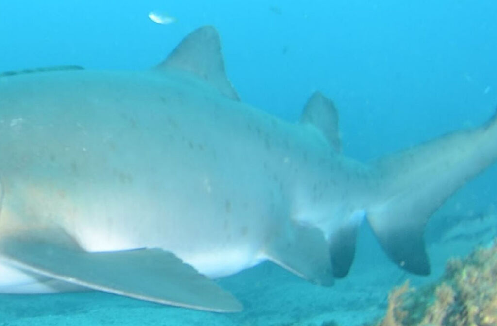 35aa5576-20f1-4ab1-bc65-239ee2ff1092