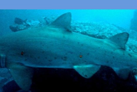 8a7998ee-9b6a-4a4d-b8f3-cc3a154c1483