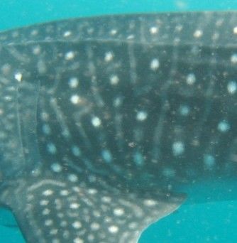 eff54461-66e2-4da0-b2cd-8092b05bbdde