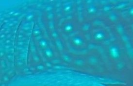 5b148832-8024-44c5-b1e4-a368865954b8