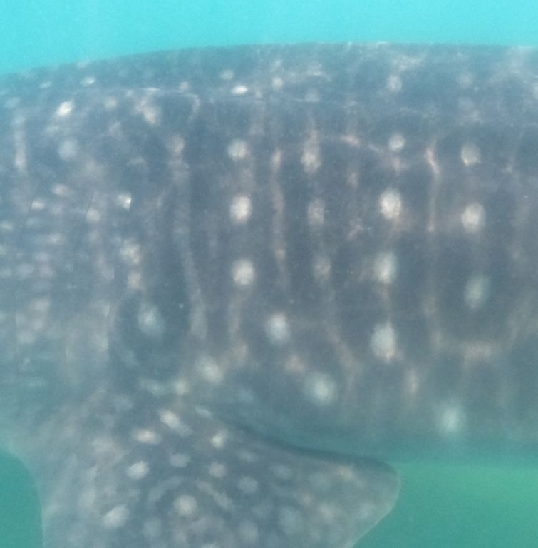 e0308227-7129-4f07-a2e7-044a12f63678