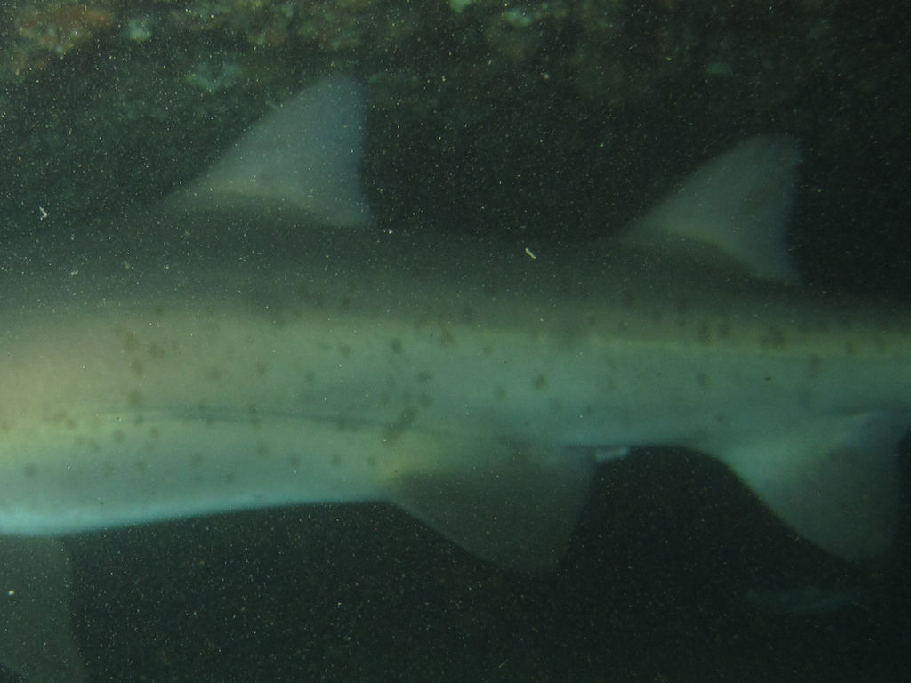 0a07e9c8-a8a0-494f-93fb-fa3fb14bafe7