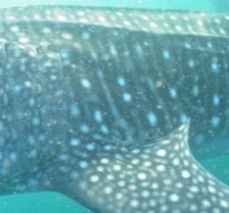 7f289576-093a-4ff4-864e-5ba7f9bad455