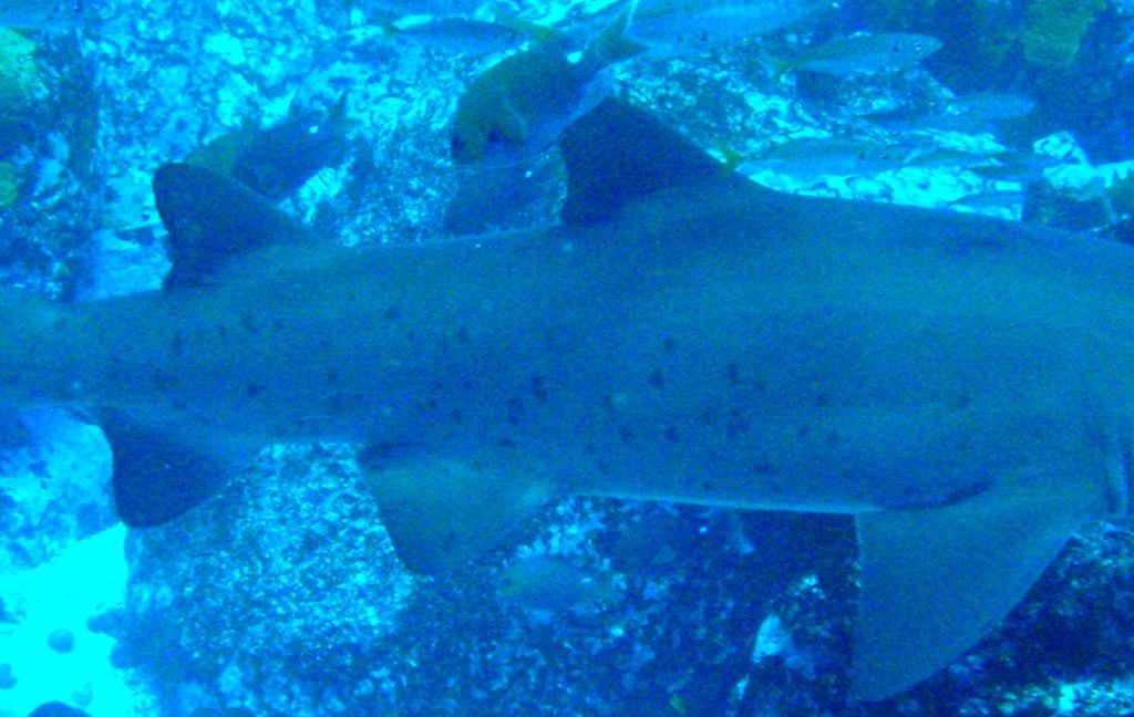 983a5aa9-b6cf-44e5-b9a7-625d7440f940