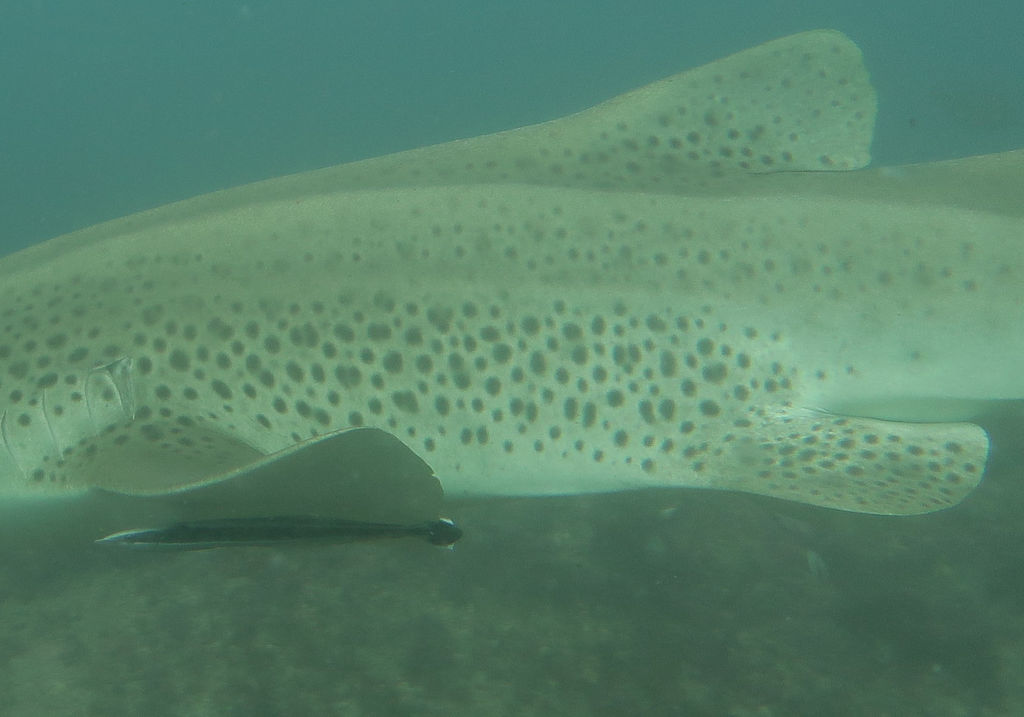 0fb20742-d56d-4855-bff9-fdc26ab4a53c