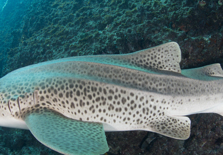 cccdbe72-589f-4366-b24a-acfac1c80adc