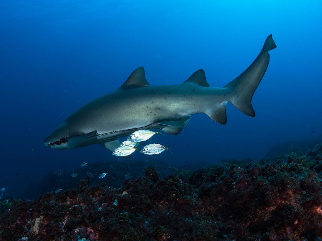 910535c9-67ca-4a0a-8483-f7d205a30cac