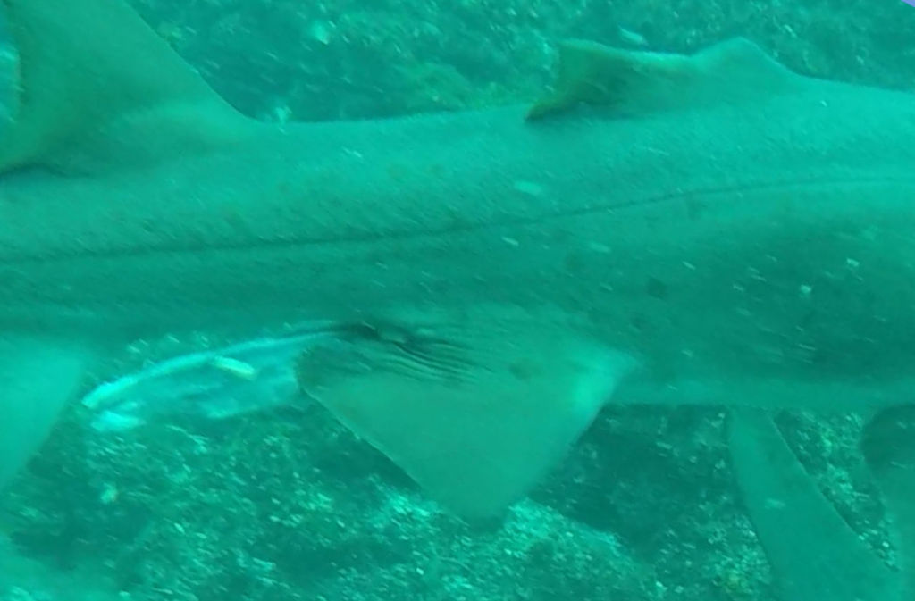 f2f5eea7-2616-4d91-837b-7d95ad046523