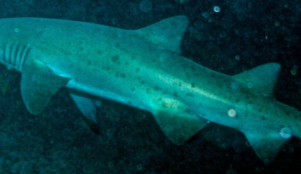 a67d46da-d4db-48a5-a642-f7cbd09258f6