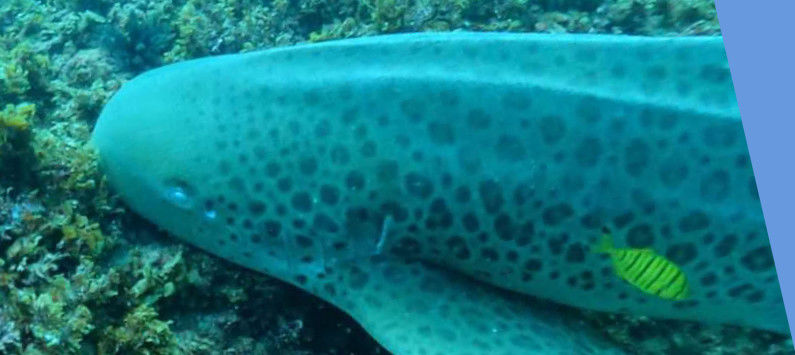 ebc464dd-aab1-417f-a270-5ac76ca1d8ff