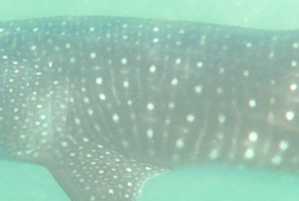 09f9f166-d87c-4590-a542-c187c05eeeac