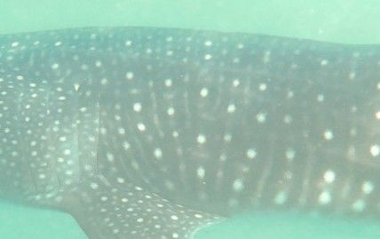 09f9f166-d87c-4590-a542-c187c05eeeac