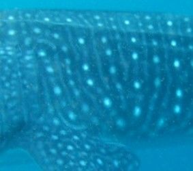 9a362f03-e22d-4a26-b2e0-9dc4ffb9d634