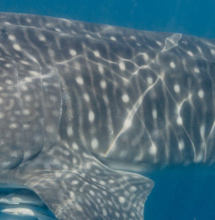 761dd40f-64cb-41db-945d-521ac1f202f7