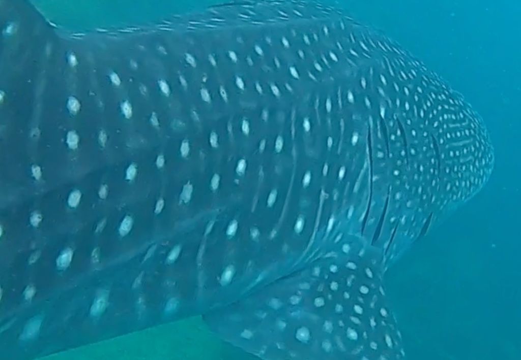 843cc9a2-32f0-45b0-bd45-ee4505310b5a