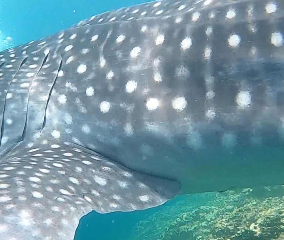 843cc9a2-32f0-45b0-bd45-ee4505310b5a