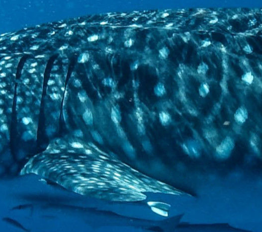 81266e96-71c9-4636-a5f9-b51a1c309e03