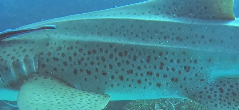 09b948f8-ca6c-4dbe-8520-b2c714309cdb