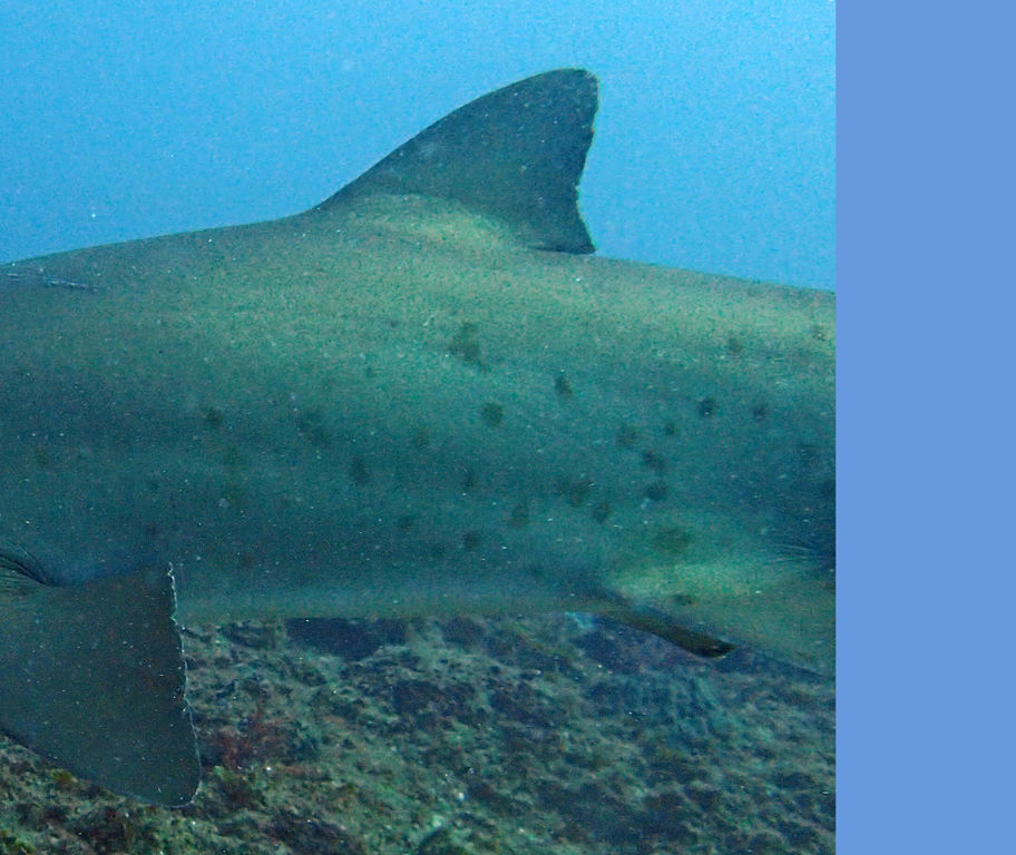 28ec6499-edc8-4a64-a97d-bee4896a56fa