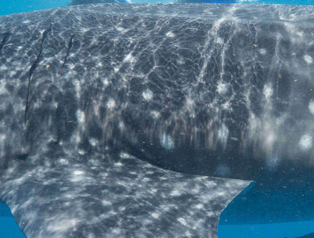 8a5c924d-fc07-494c-8f7f-68a6edf38d44