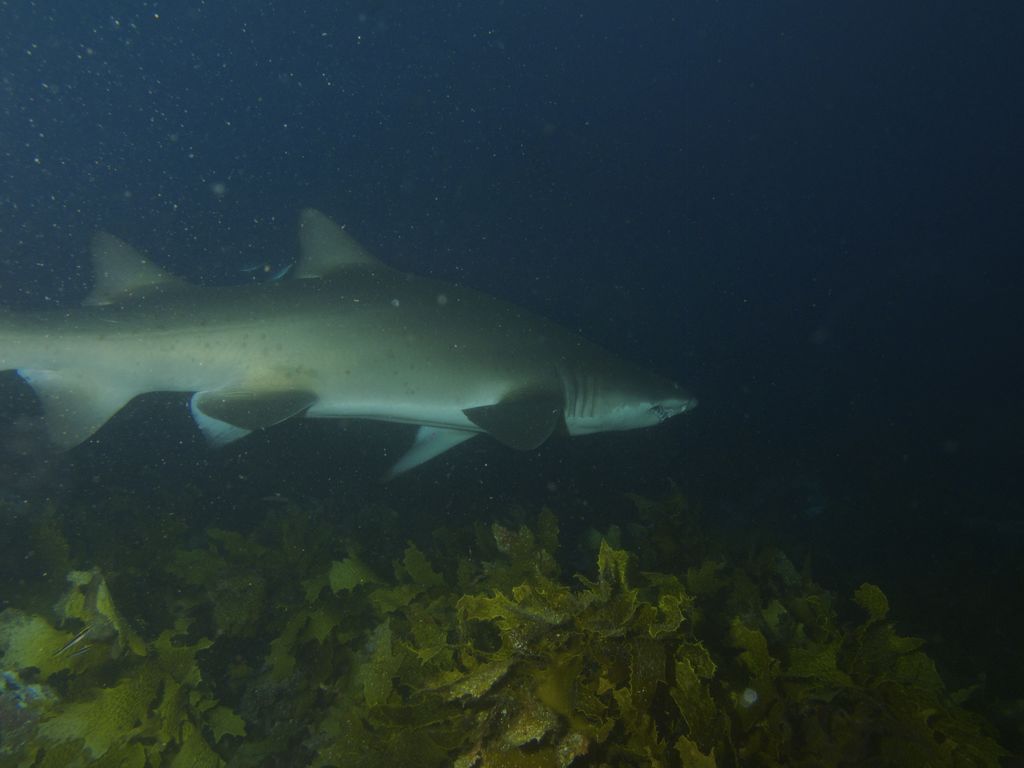 c7b89de9-7e1e-422c-b7bc-cbe65d0d819a