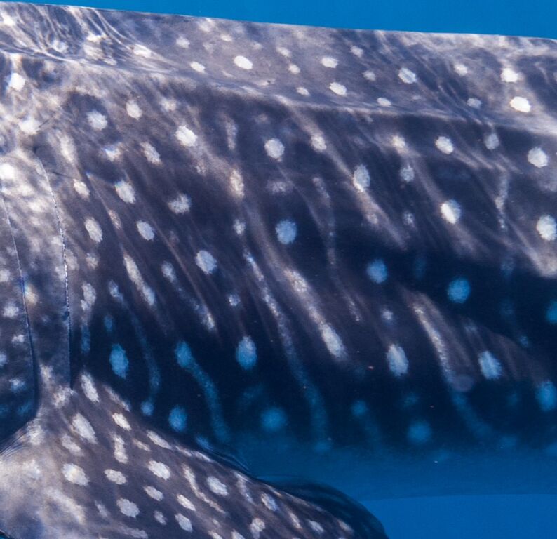 9e9a115f-75ad-434f-a9a3-6f079d6237f5