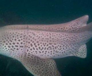 f0c00587-d5b7-4a68-93ba-bb6201ede3cf