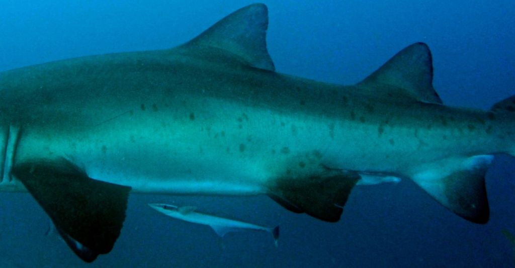 2f4bdc93-13ef-4bec-b27a-8b4236c42970