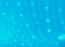 ee588712-95d2-4fb6-a4be-2b4900abde3c