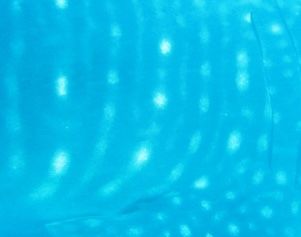 ee588712-95d2-4fb6-a4be-2b4900abde3c