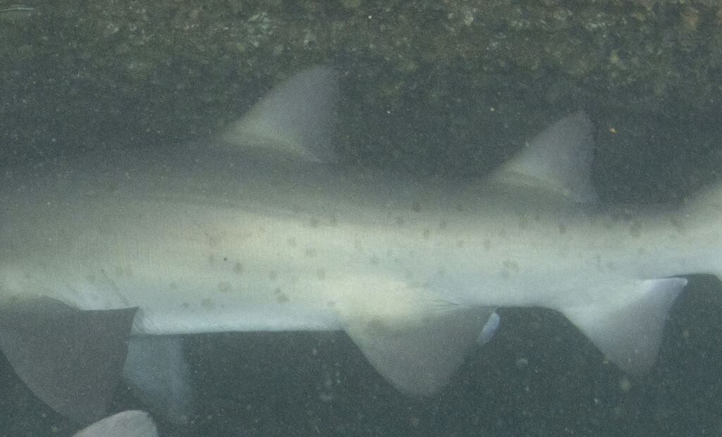 466bfa15-06fe-429b-95c3-5abdd5704bb3