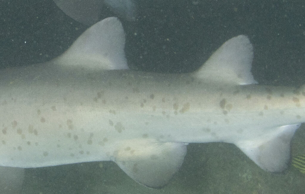 466bfa15-06fe-429b-95c3-5abdd5704bb3