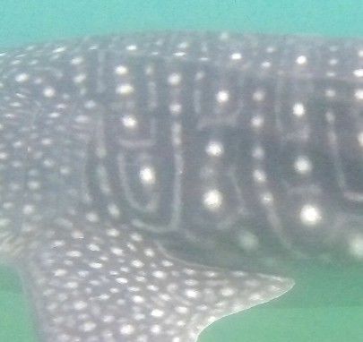 8c4f4ffa-c126-40a1-a258-c5f8ffa785cd