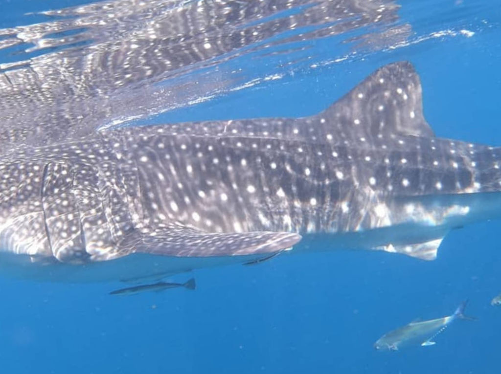 4944290a-31b9-4e36-9c14-b5667f3fb77c