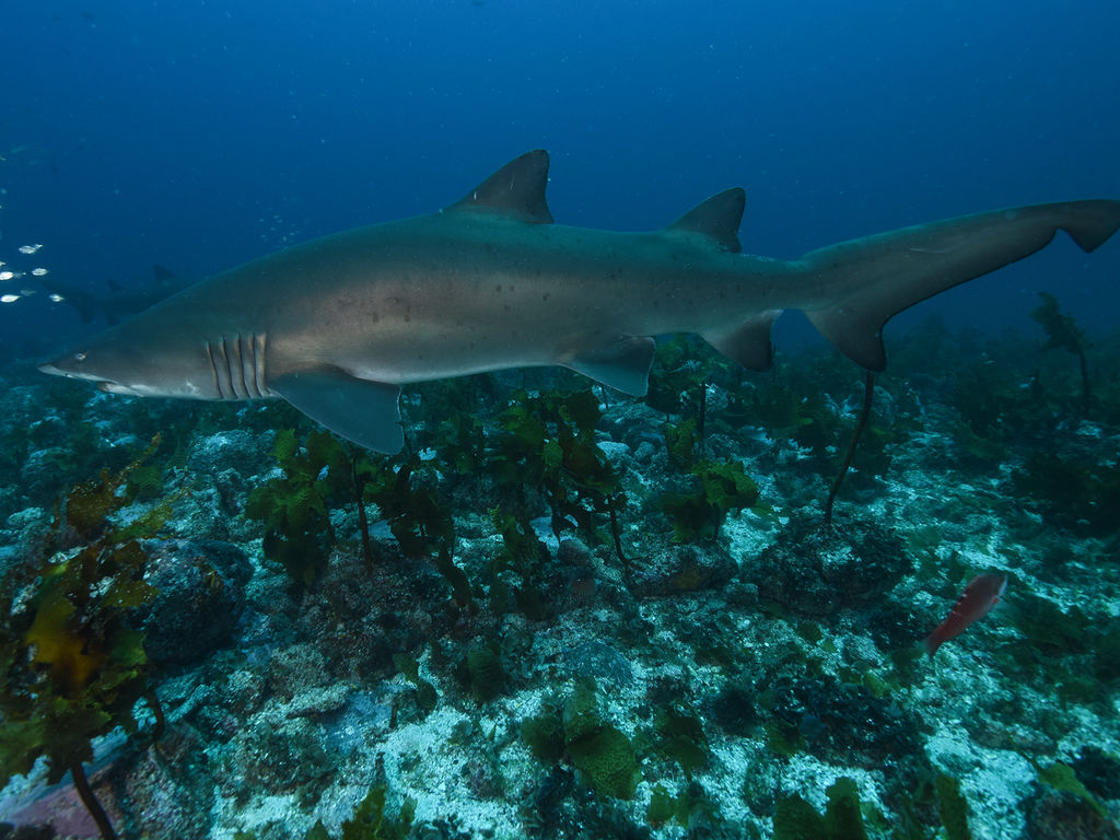 46d8eded-c0e8-4e67-8e0b-4a01c0ffa83d