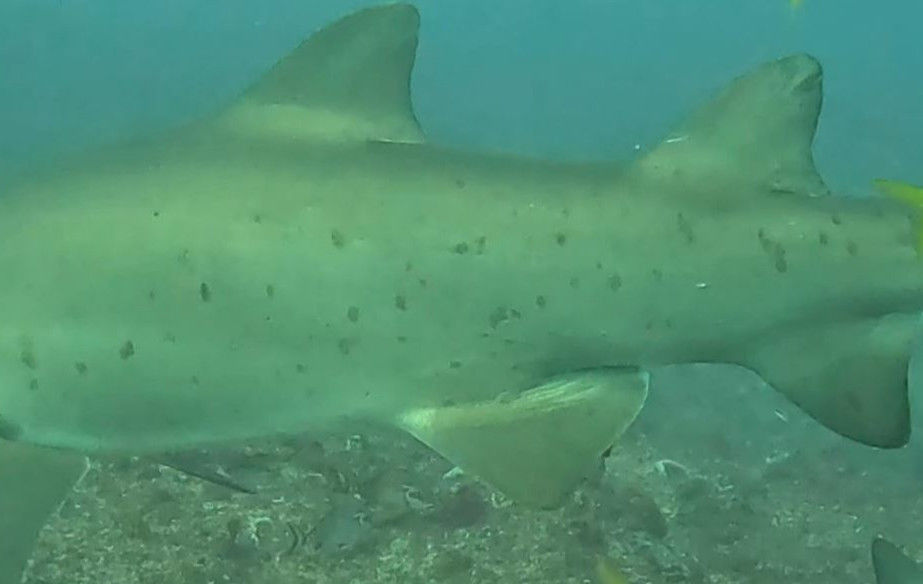 efd215b6-69fb-4d2a-b307-54d47c82d4ac