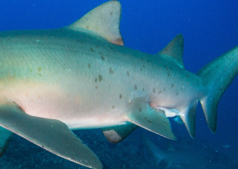 75db17ea-c9aa-4903-b503-eceb9d8f8e18