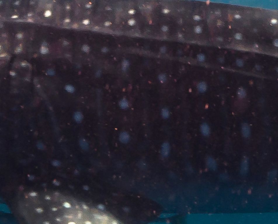 a01c8a5f-3d19-49c1-b0bd-ae5eb9205aeb