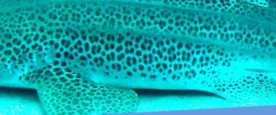 0900acb2-c79b-4886-a2e7-a80f66418da6