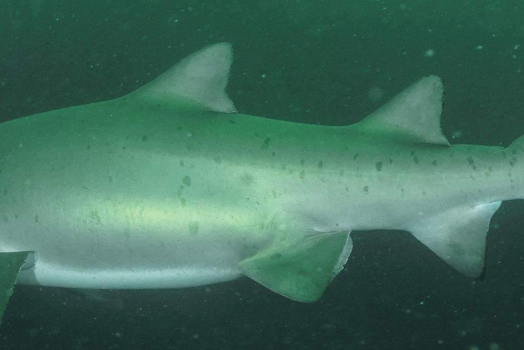 831ef2b4-043c-4111-8977-5d7b5b44273c