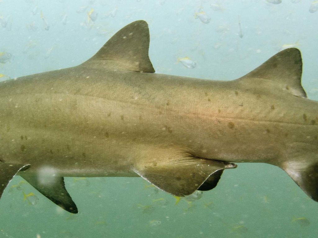 e91b426f-cea8-450f-9ebd-c8d7977240ed