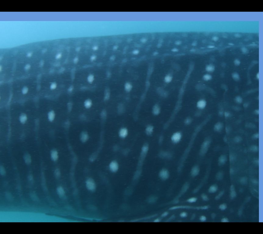 3e64cc2f-6817-46ac-a975-2a629ba3f89c