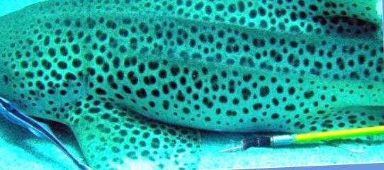 a698b5b7-31ba-4562-9325-e4661ebd1131