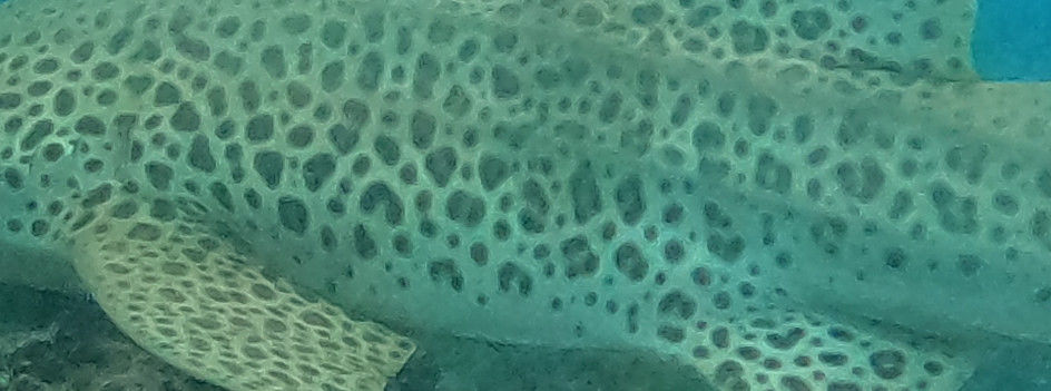 6a84de1c-8055-432d-a090-160b432b54a8